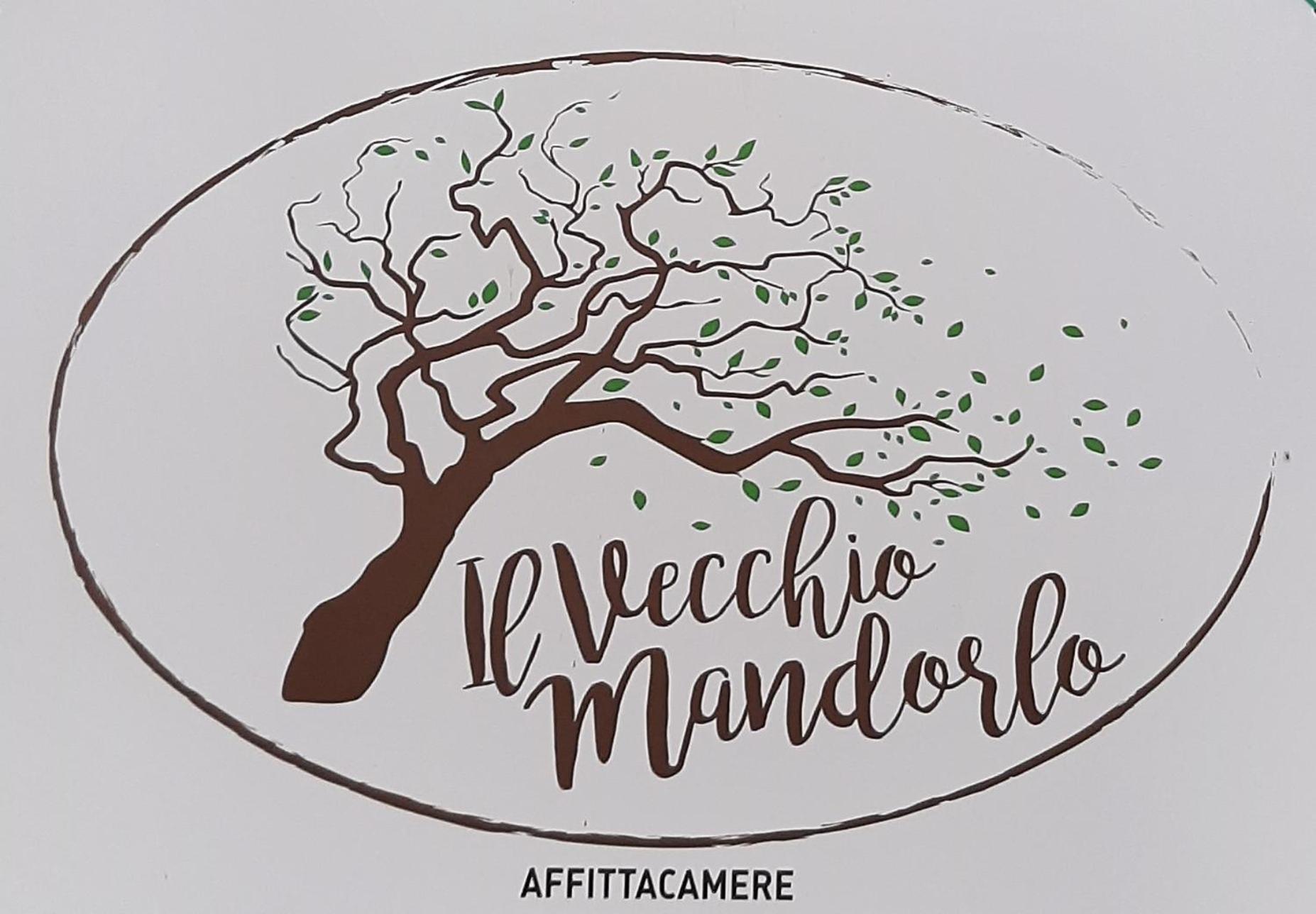 Affittacamere Il Vecchio Mandorlo Quarrata Exteriér fotografie